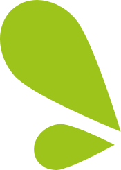 deco vert 175x245